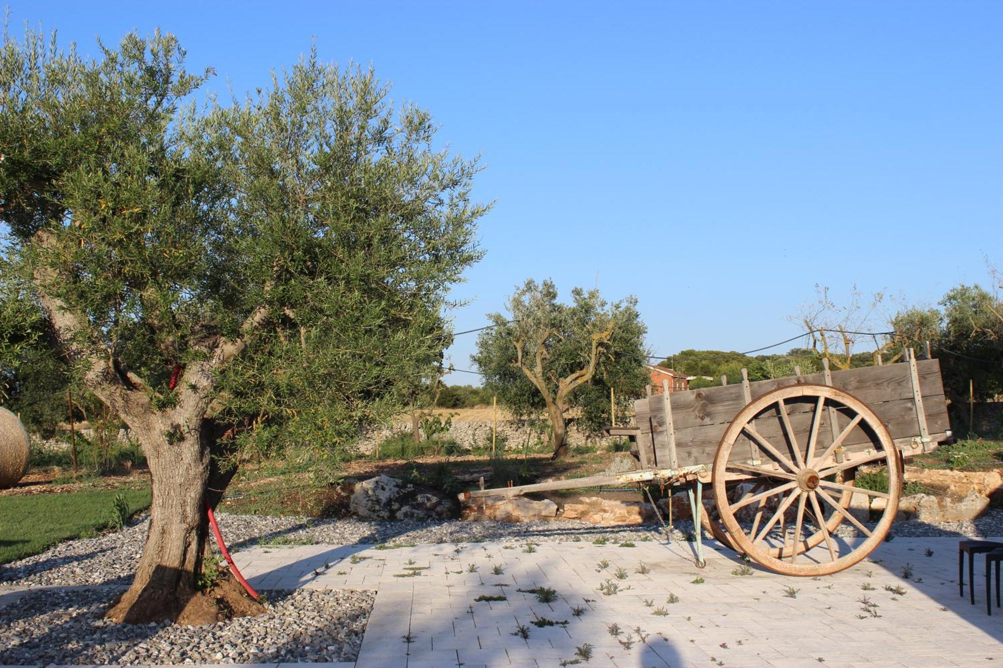 Masseria Stella Gioia Del Colle Esterno foto